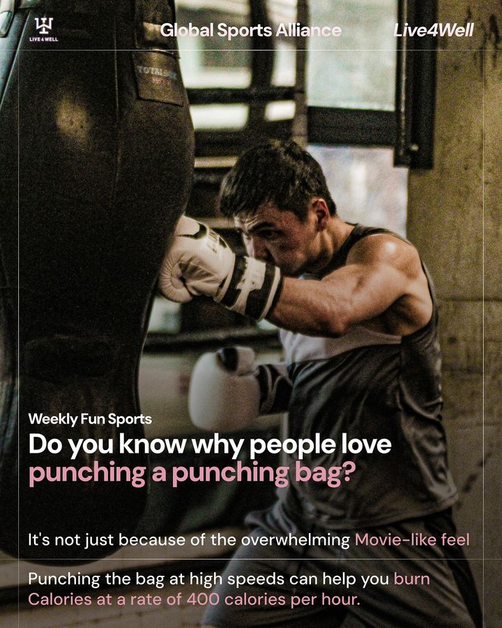 Do you know why people love punching a punching bag?